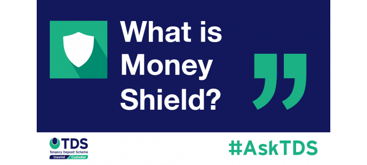 What is money shield? - blog image
