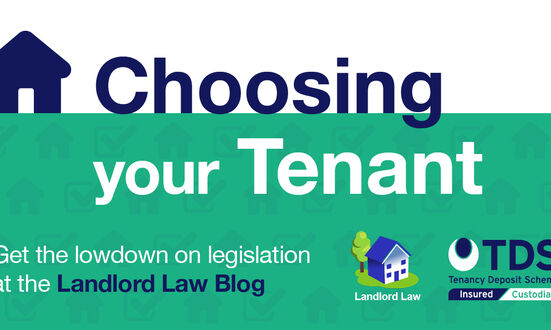 Tessa's Tenancy Tips: Choosing your tenant
