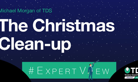 #ExpertView: The Christmas Clean-up