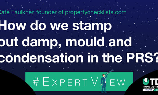 #ExpertView: How do we stamp out damp, condensation and mould in the PRS?