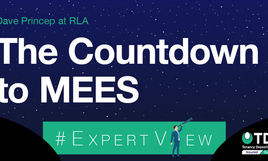 #ExpertView: The Countdown to MEES