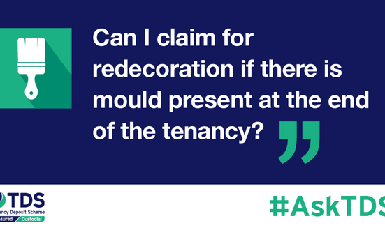 #AskTDS: Can I claim for redecoration if there is mould present at the end of the tenancy?