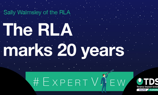 #ExpertView: The RLA marks 20 years