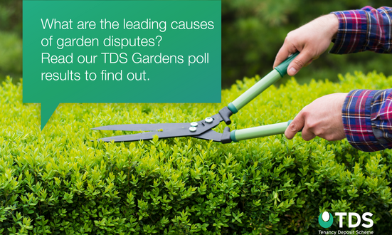 TDS Poll Highlights Confusion Surrounding Garden Maintenance in Rental Properties